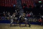 Quadrille - 00643